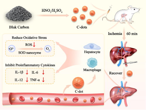 图片 2.png 图片 2.png